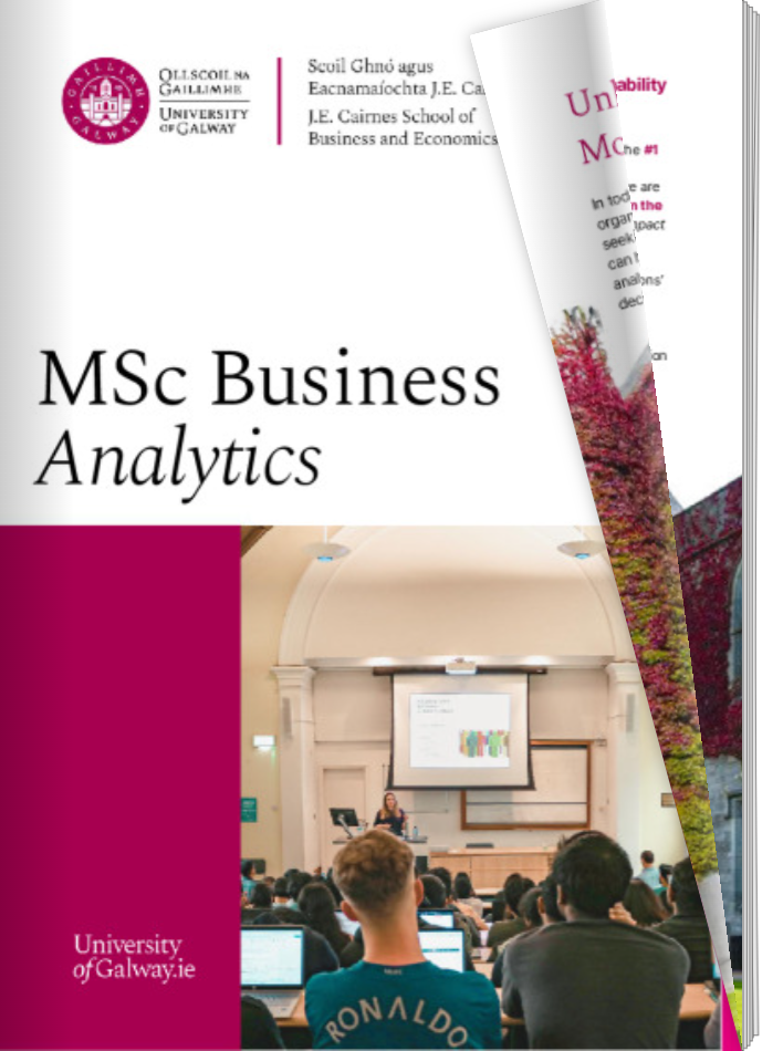 Digital Brochure MSc Business Analytics 2024